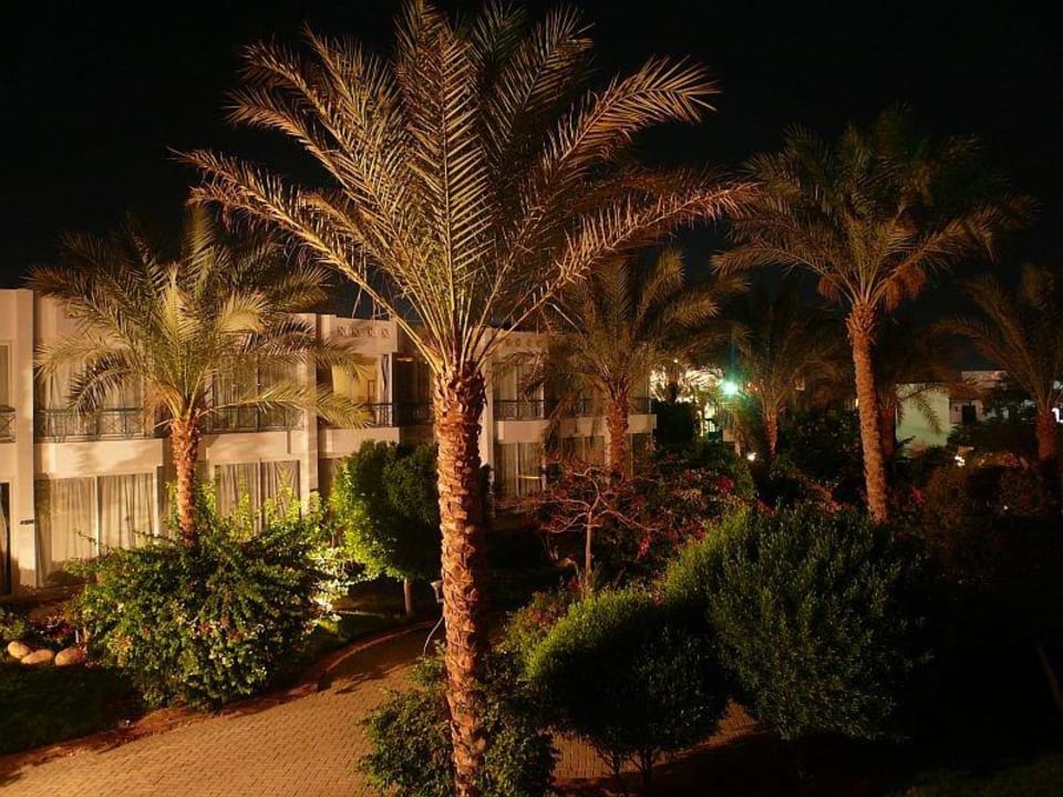 Widok z okna Hotel Amarante Garden Palms Resort