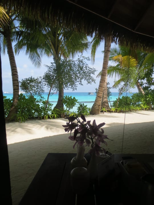 Ausblick von unserem Tisch Kuramathi Maldives