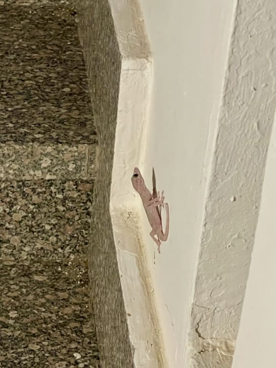 Außenansicht Three Corners Equinox Beach Resort