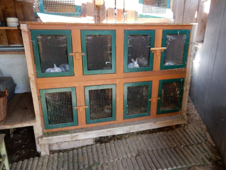 Sonstiges Bauernhof Greimelbacherhof