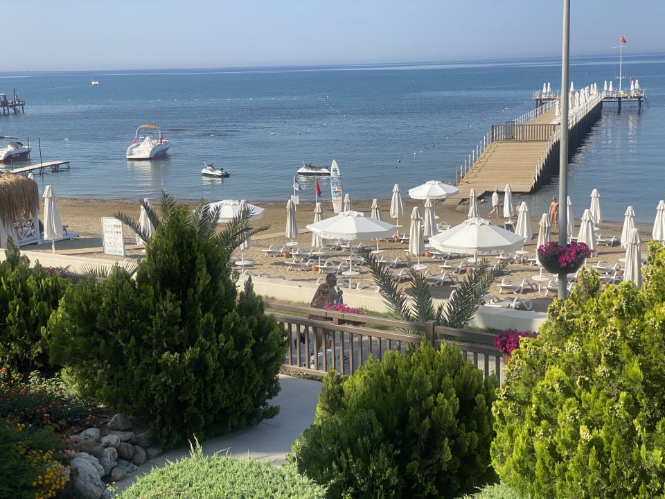 Strand PALOMA Perissia