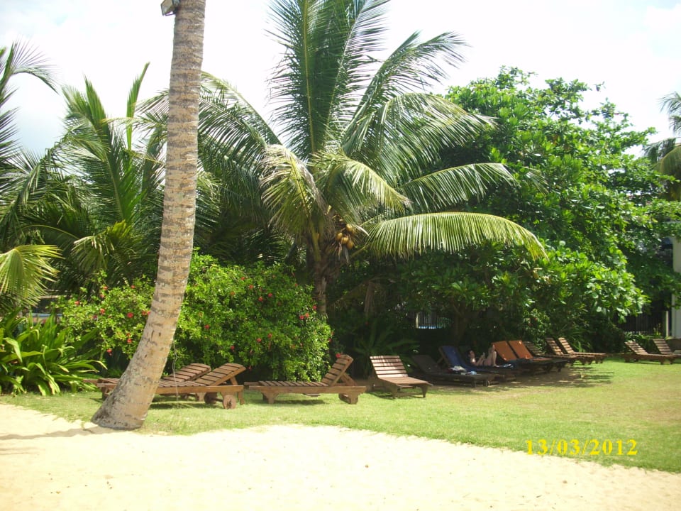 Schön grün Earl’s Reef Beruwala