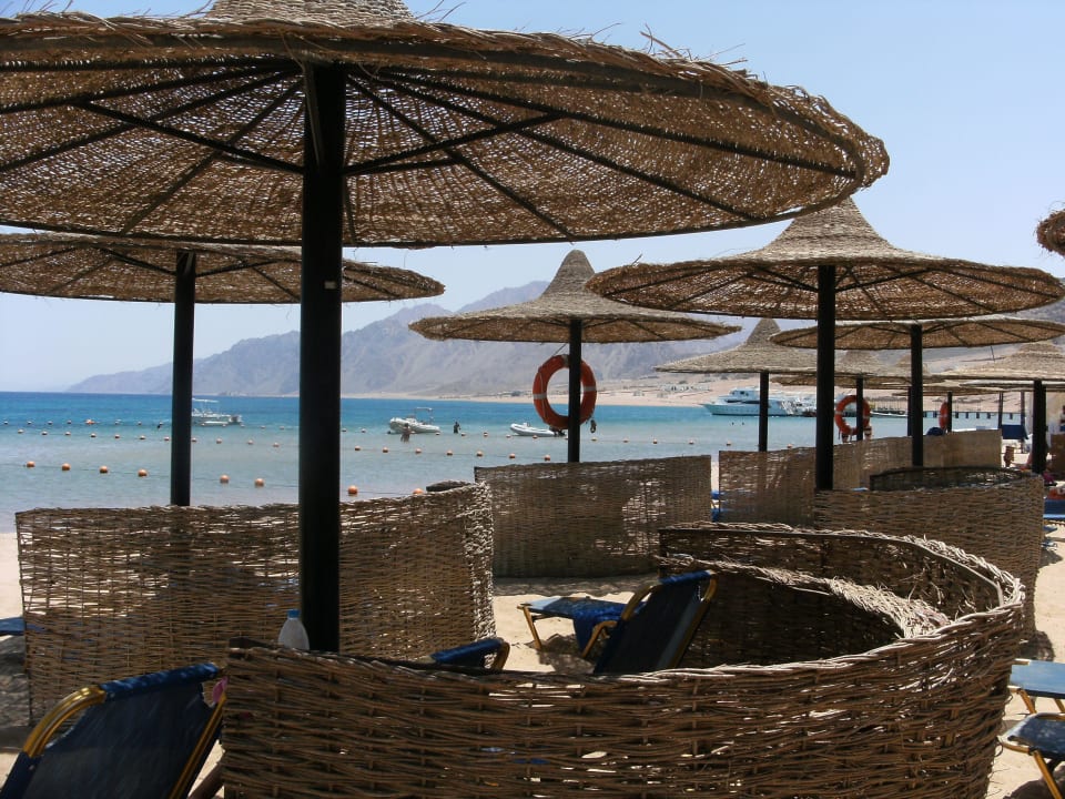 Sun loungers JAZ Dahabeya