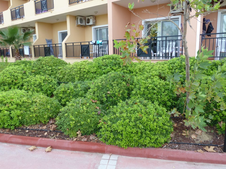 Beim Minigolf  Ephesia Holiday Beach Club