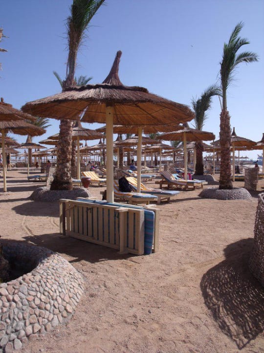 Strandliegen und Schirmchen Beach Albatros Resort