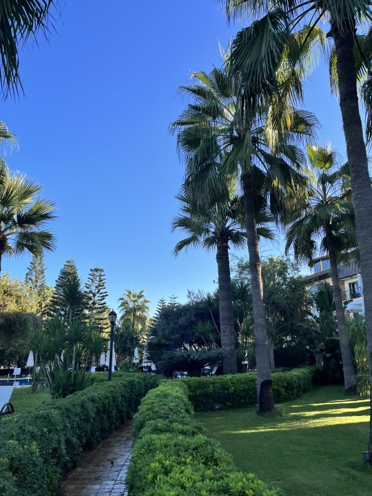 Gartenanlage Hotel Villa Augusto