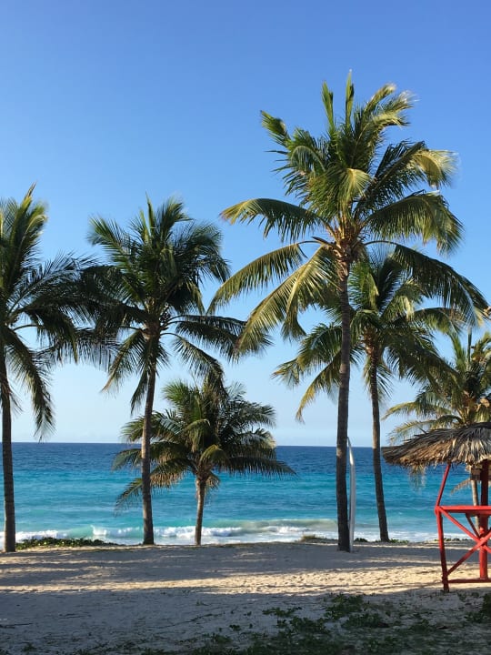 Überall Palmen Hotel Melia Varadero