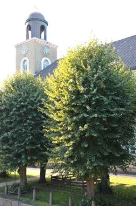 Sonstiges Hotel Wohlert