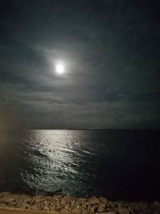 Ausblick BEECH Resort Boltenhagen