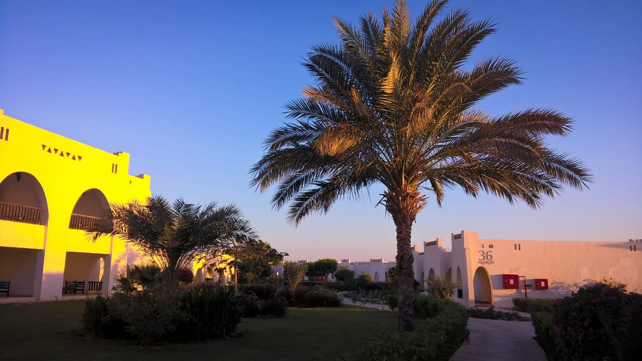 Top Hilton Marsa Alam Nubian Resort