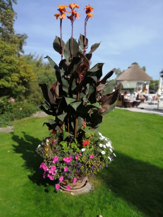 Gartenanlage A-ROSA Ostseehotel Kühlungsborn