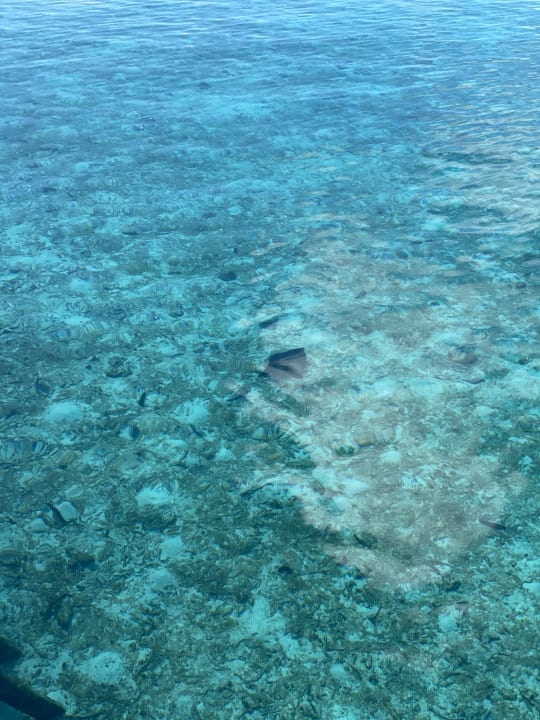 Ausblick ROBINSON MALDIVES