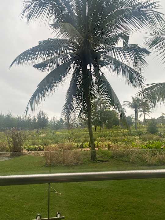 Gartenanlage ROBINSON NAM HOI AN