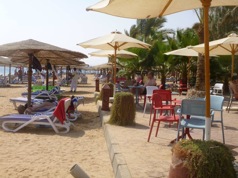 Beach Bar Fort Arabesque Resort, Spa & Villas