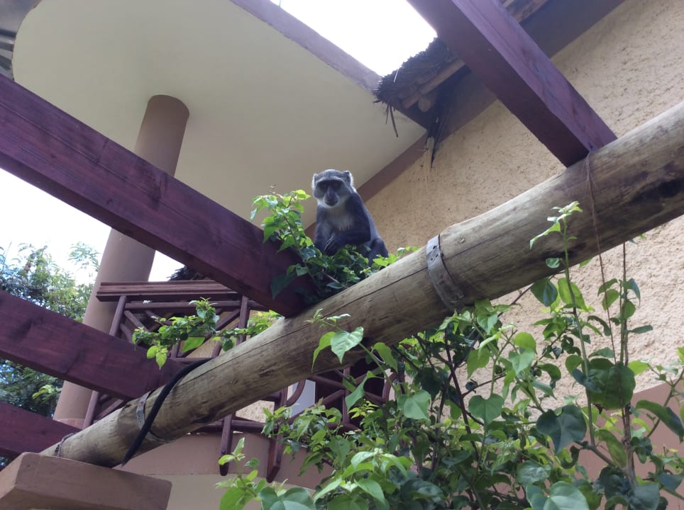 Sonstiges Neptune Paradise Beach Resort & Spa