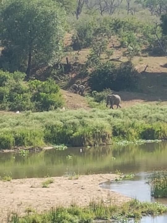 Ausblick Kambaku River Lodge