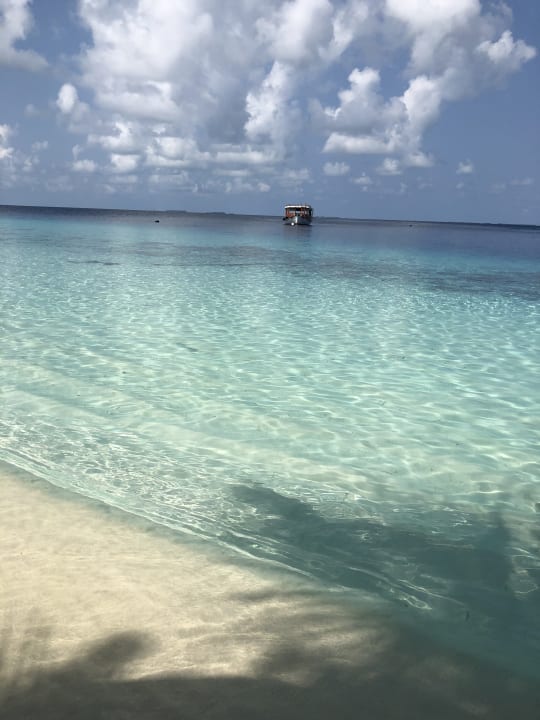 Strand Fihalhohi Maldives