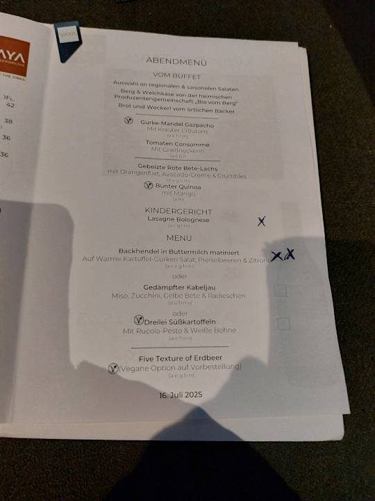 Gastro VAYA Fieberbrunn