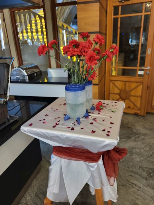 Gartenanlage Hotel Defne Garden