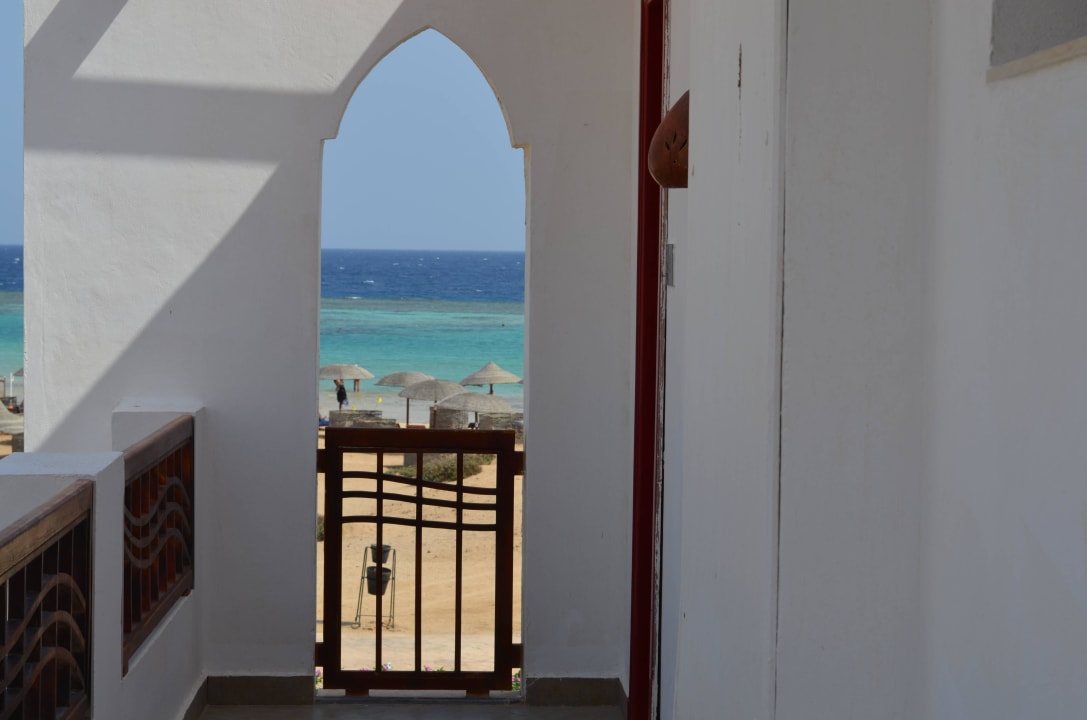 Traumhafter Strand mit super Riff Hotel Gorgonia Beach Resort