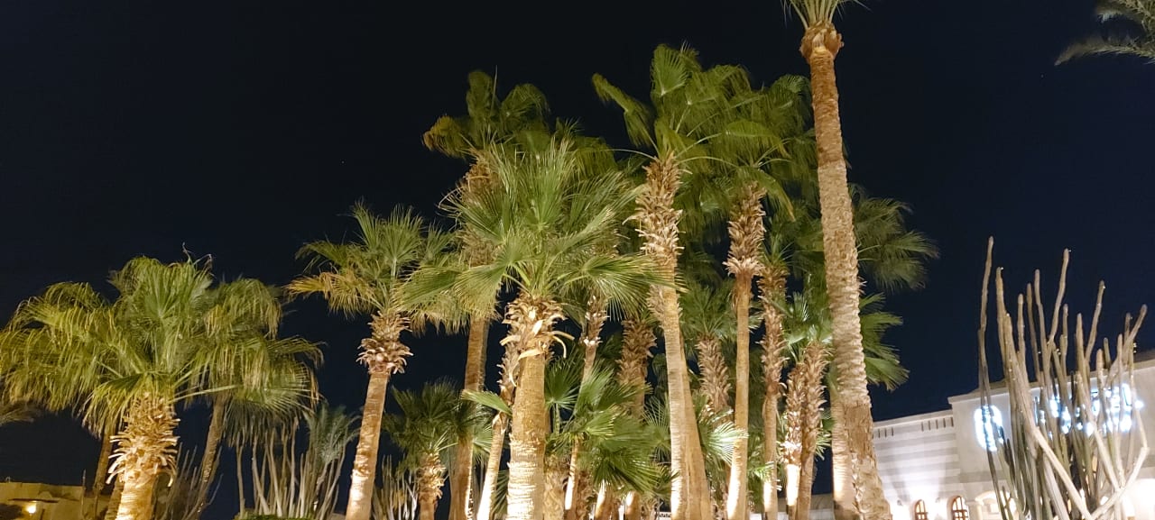 Garten Hotel JAZ Makadi Star & Spa