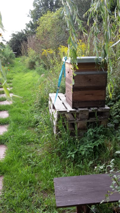 Gartenanlage Hotel am Tierpark