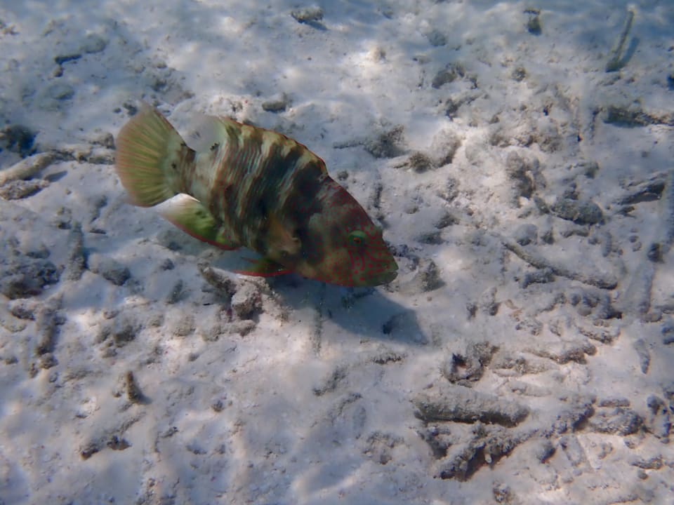 Sport & Freizeit Thulhagiri Island Resort