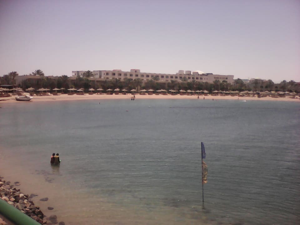 Ausblick Desert Rose