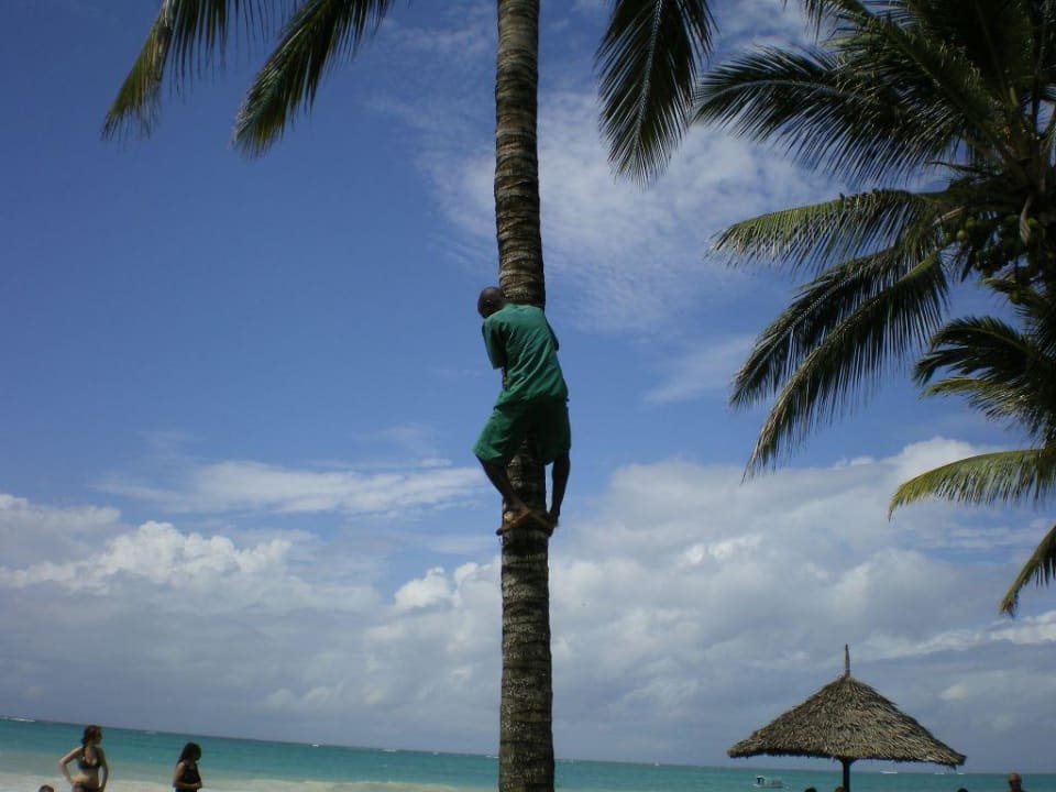 Aktionen vom Gärtner Neptune Paradise Beach Resort & Spa