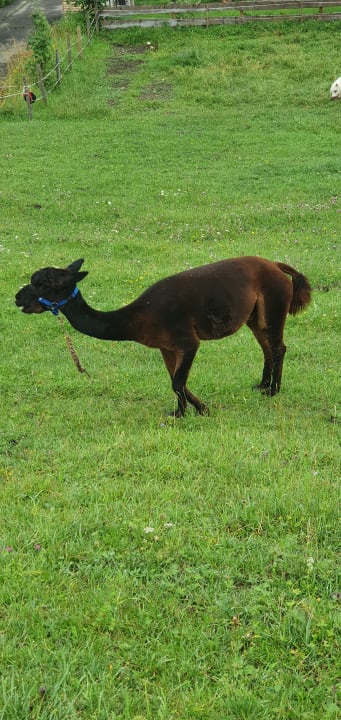 Gartenanlage Oberjoch - Familux Resort