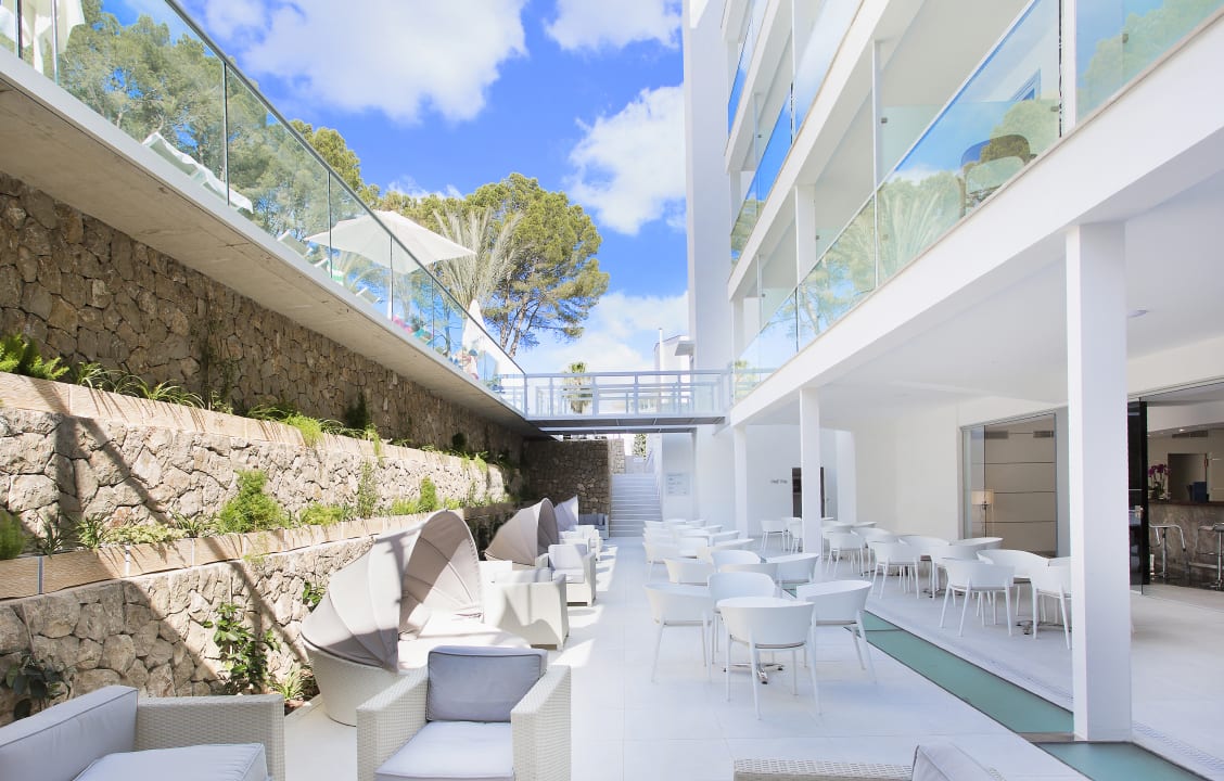 Gastro Reverence Life  - Adults only