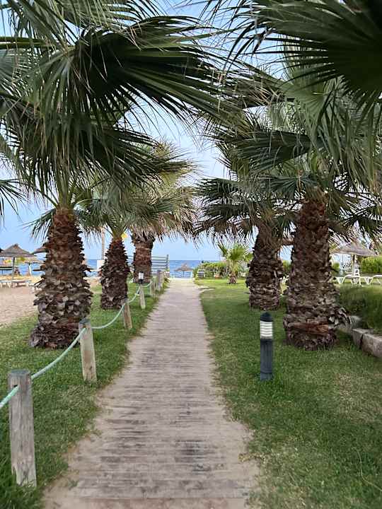 Gartenanlage TUI MAGIC LIFE Africana