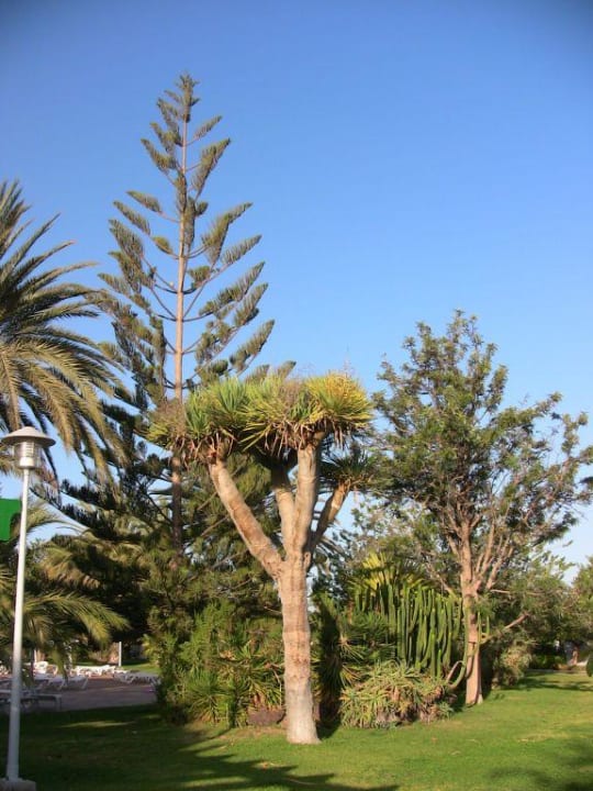 Sandy Golf Bungalows Cordial Sandy Golf