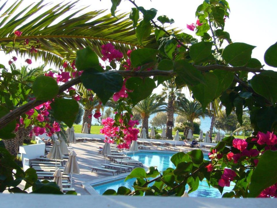 Blick von der Terrasse des Restaurants zum Pool Lagas Aegean Village
