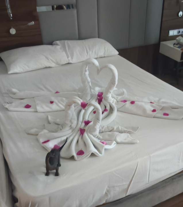 Zimmer Eftalia Ocean Resort & Spa