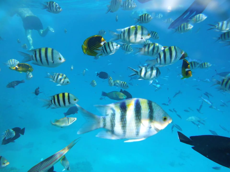 Sport & Freizeit Grand Makadi