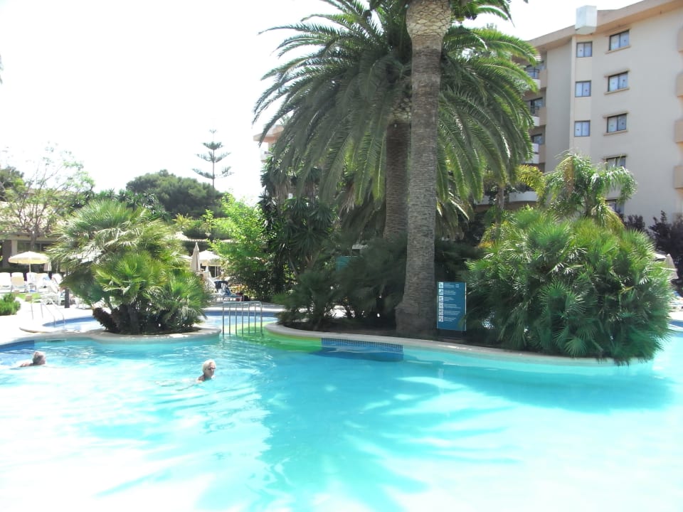 Pool Hotel Riu Bravo