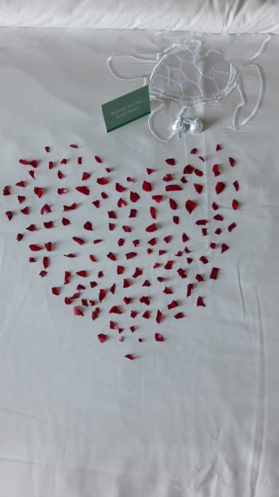 Zimmer Akumal Bay Beach & Wellness Resort