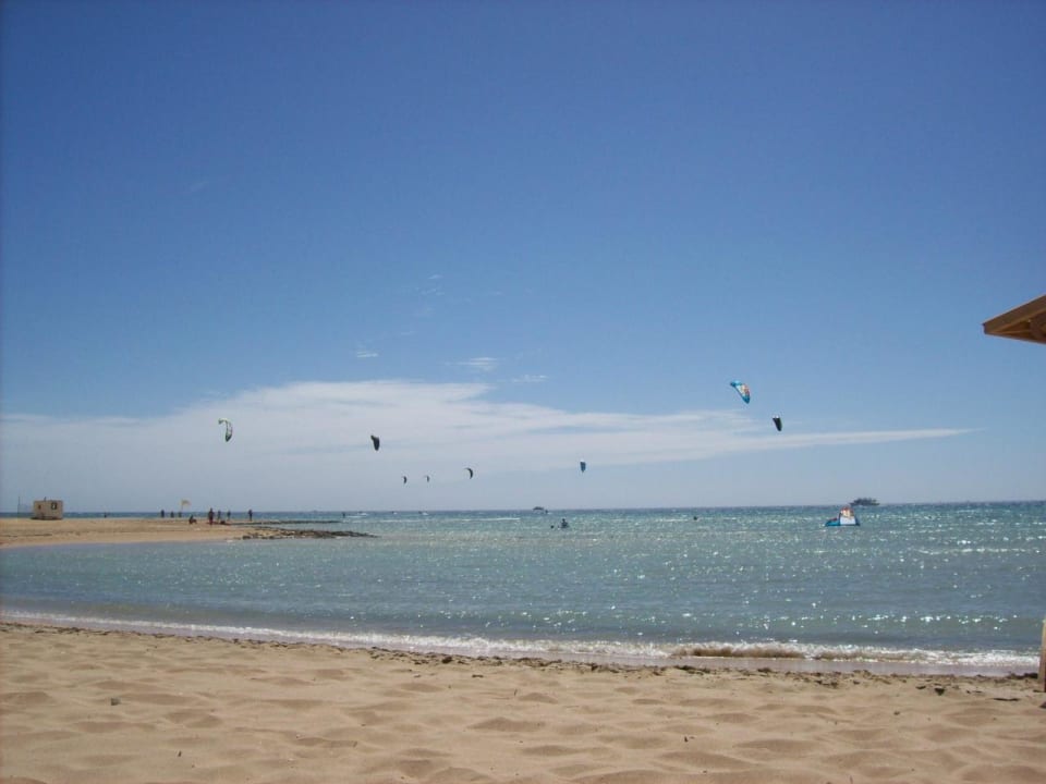 Kiter Shams Prestige Abu Soma-Adults Only