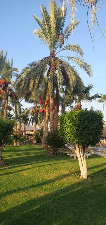 Gartenanlage Brayka Bay Resort