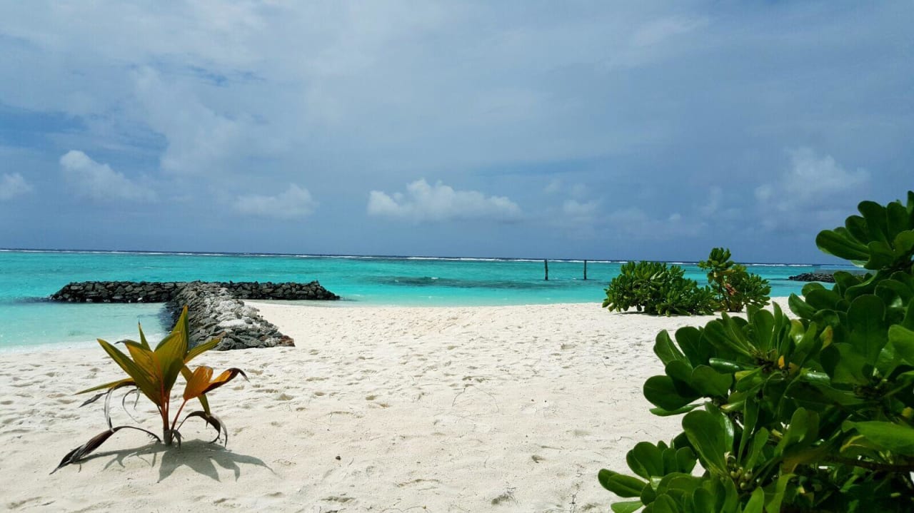 Strand Westseite Summer Island Maldives