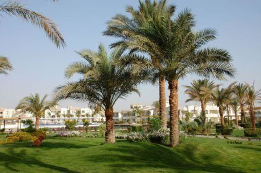 Gartenanlage Pickalbatros Dana Beach Resort - Hurghada