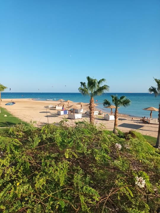 Strand Shams Prestige Abu Soma-Adults Only
