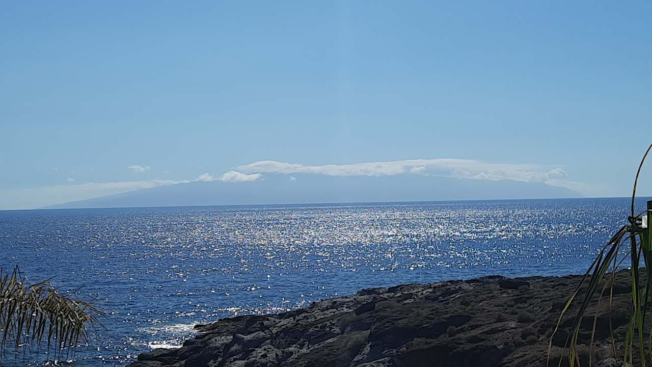 Ausblick Hotel Riu Buenavista
