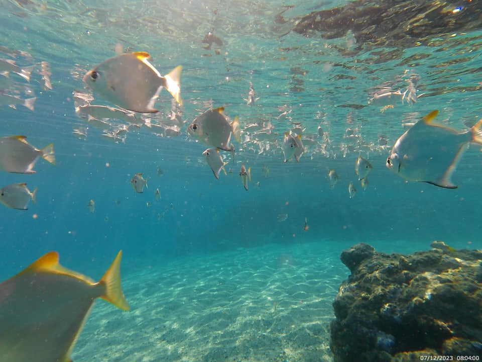 Sport & Freizeit Coral Sun Beach