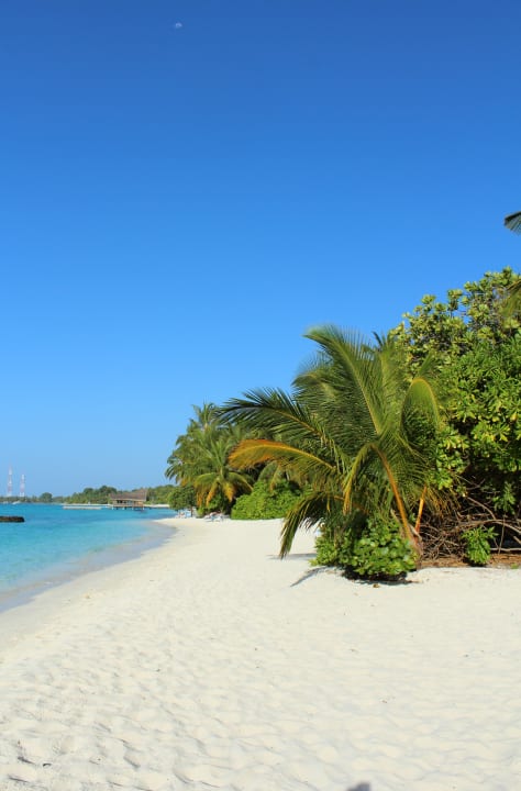 Die Lagunenseite Kuramathi Maldives