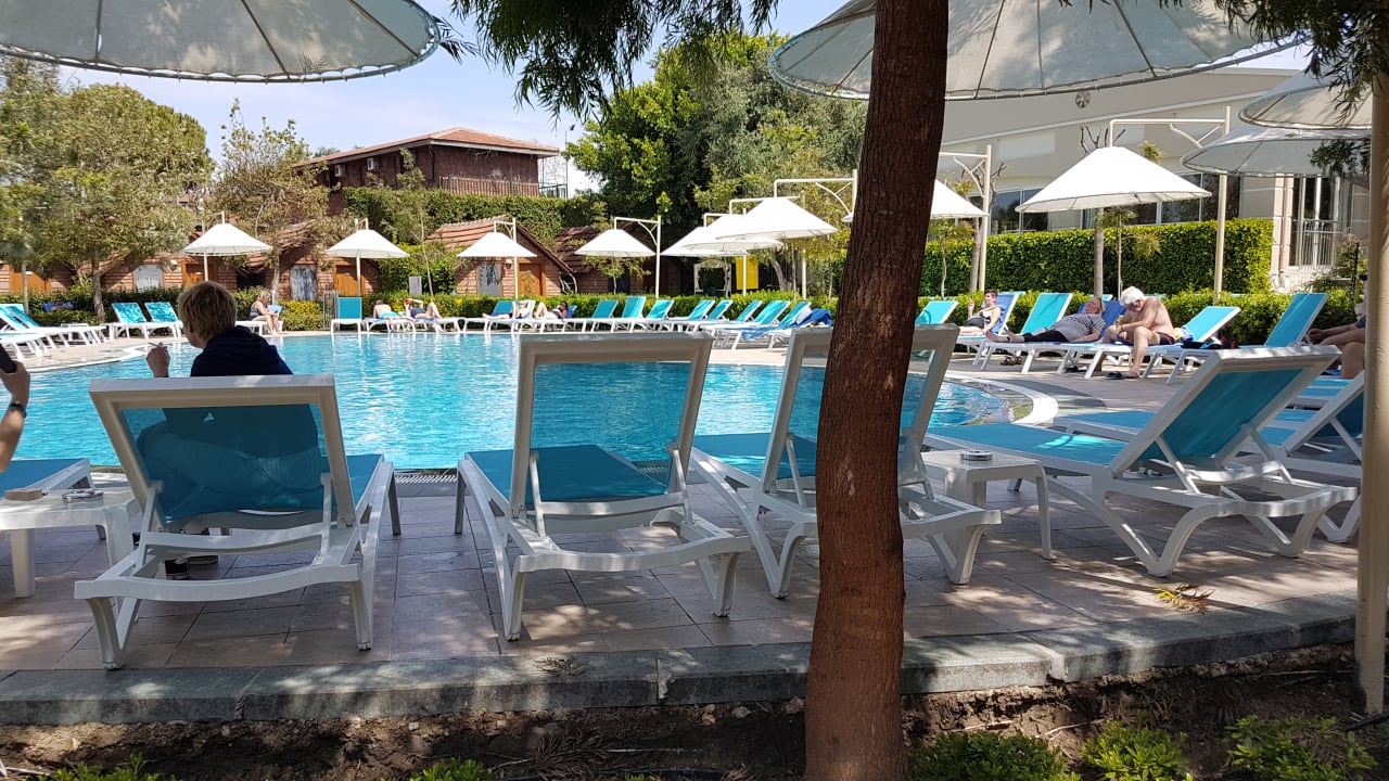 Pool Can Garden Beach