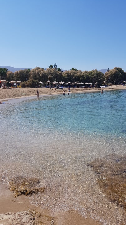 Strand allsun Hotel Carolina Mare