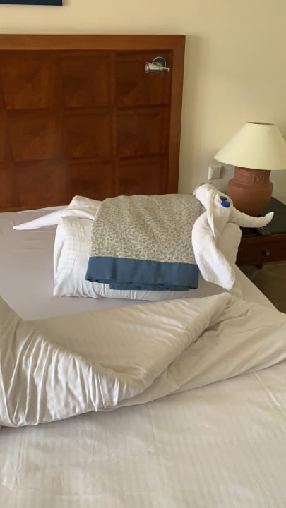 Zimmer Jaz Grand Marsa