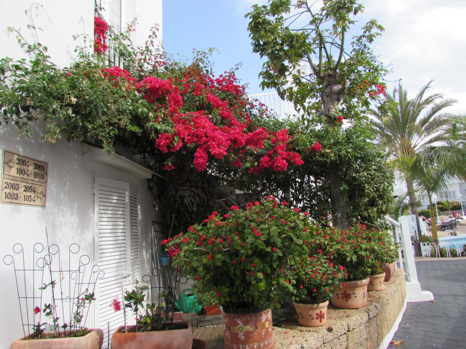 Gepflegte Anlage Lagos de Fañabé Beach Resort